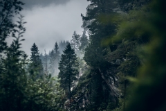 Nebellandschaft auf knapp 2000m Höhe